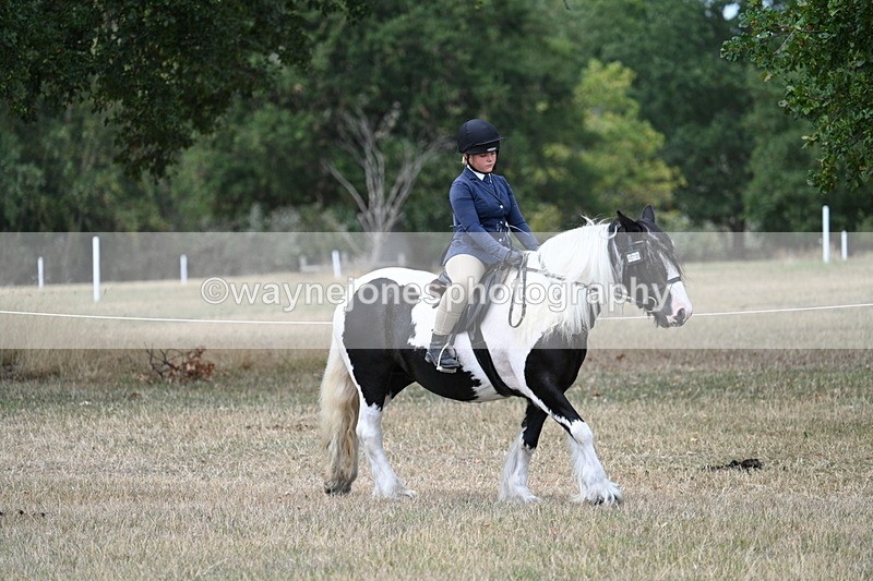 WJ7_4663 - Class 12 Ridden Cob