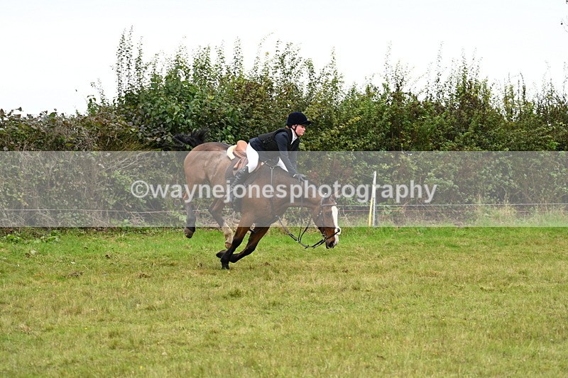 WJ7_4167 - Camera 1 Line 2