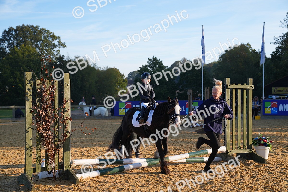 SBM_58883 - J63 - Minis Clear Round 30cm 40cm