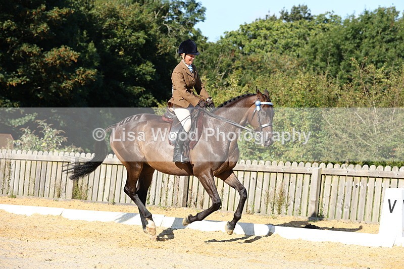 1X9A7564 - Class 7: Novice Ridden Hunter/Hack/Cob/Riding Horse
