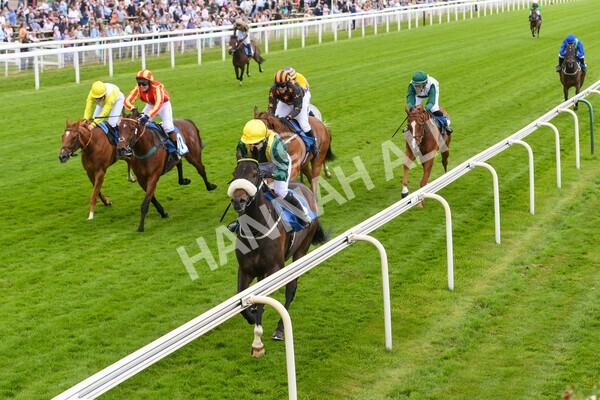 yr11062022r1-140 - Race 1 12.45pm Macmillan Ride of Their Lives, supported by Sky Bet