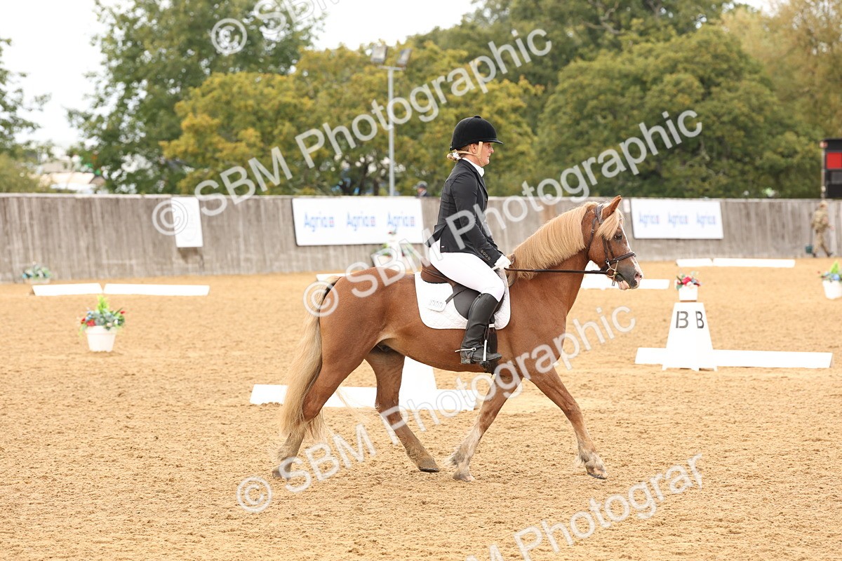 SBM_40575 - D6 - Small Tour Championship Intro 4