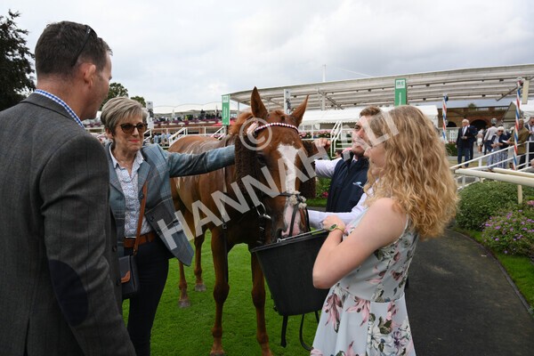 yr04092022r5-52 - Race 5 4.05pm Little Green Rascals Children's Nurseries Stakes