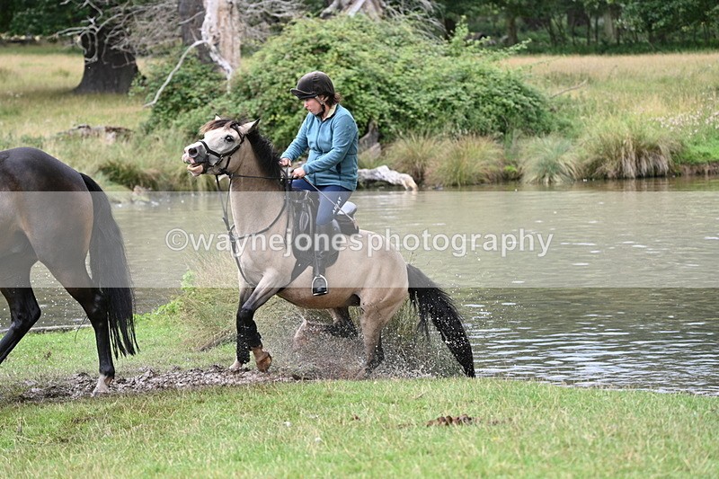 WJ7_4110 - Time at Water 12:52 to 13:22