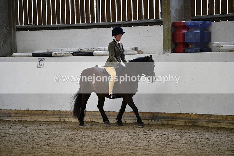 WJ5_6507 - Class 10 Childs Pony
