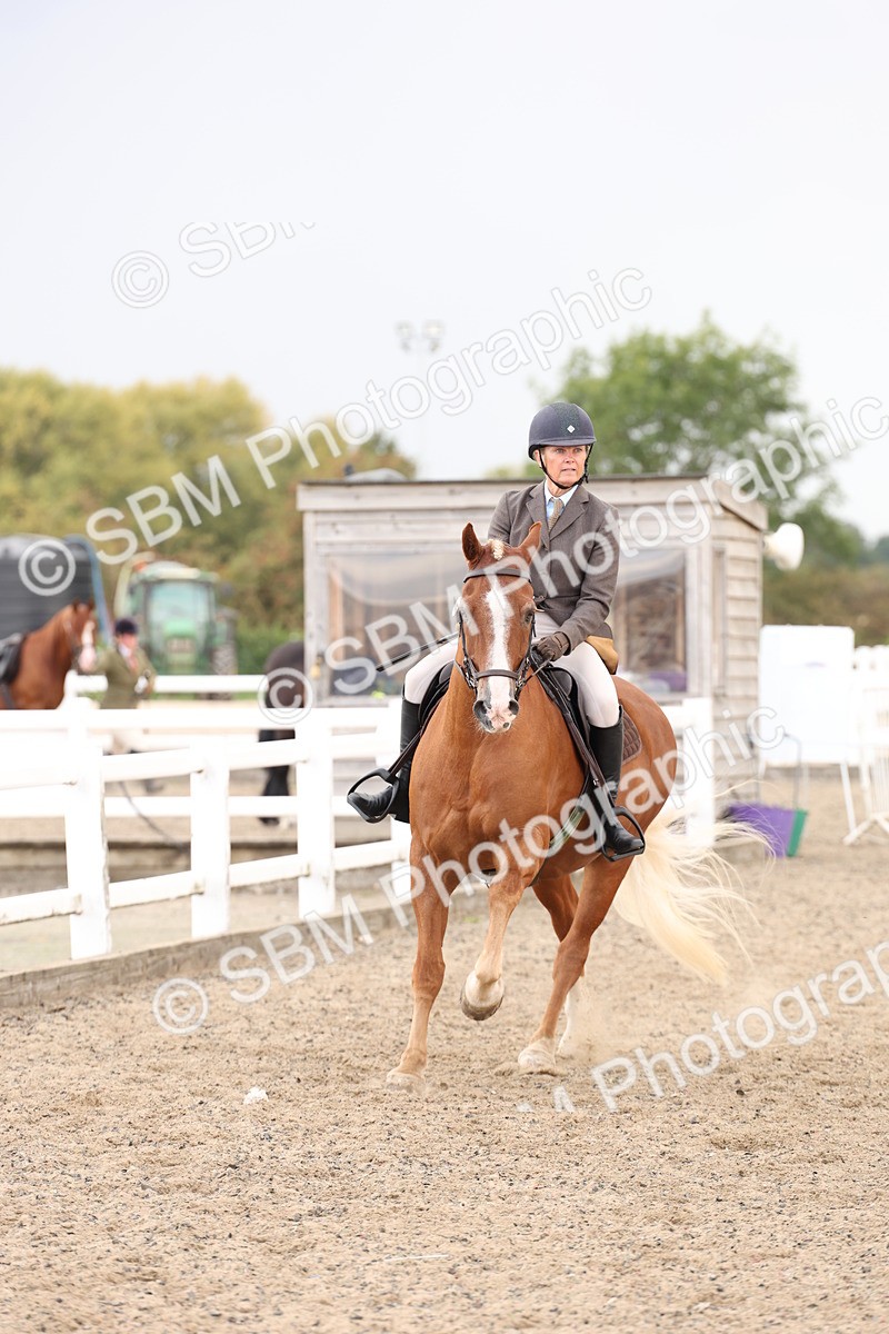 SBM_07483 - Class 59a -  Style & Performance - 80cm (15-19)