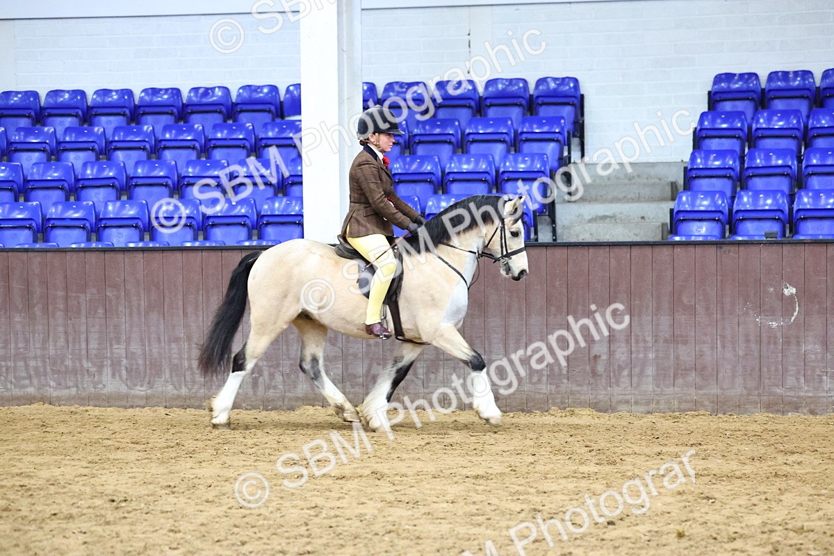 SBM_005586 - M&M Novice WHP Championship