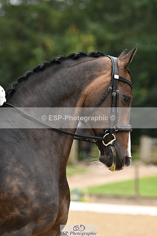 240811-100941-04950 - 170-Rebecca.Lee-Woolf-Fire