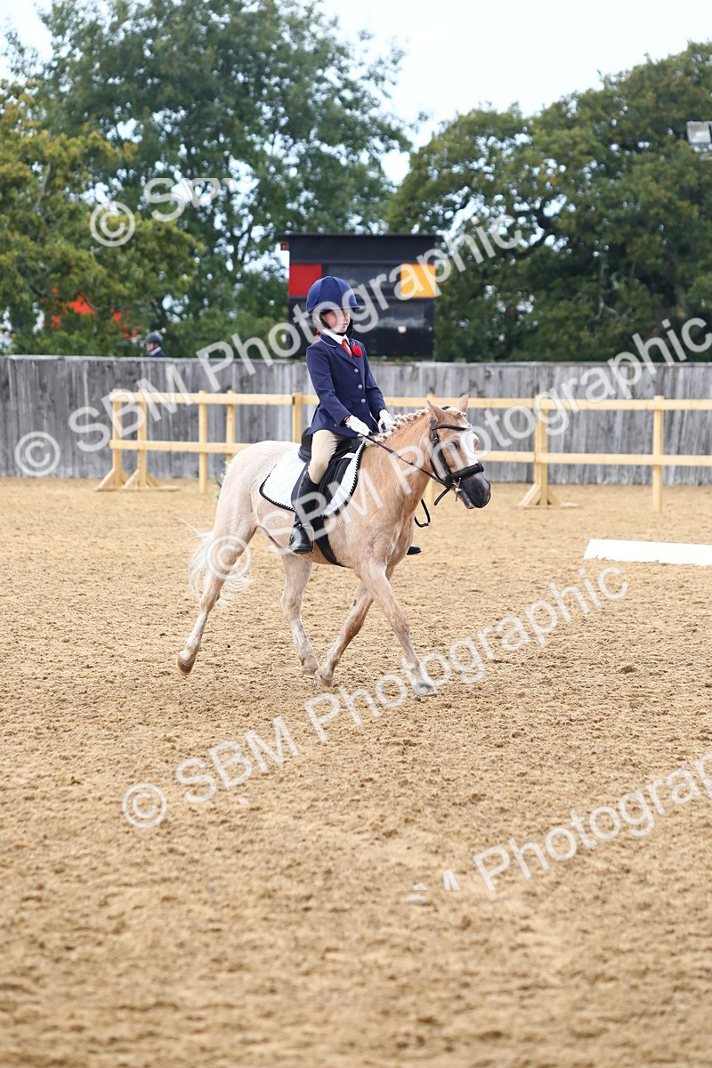 SBM_39049 - D21 - Junior Championship Intro 1