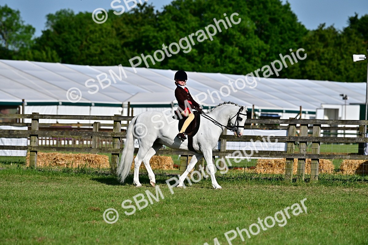 SBM_19911 - Class 103 - 105 - TSR Ridden Amateur of the Year Plaited Ponies