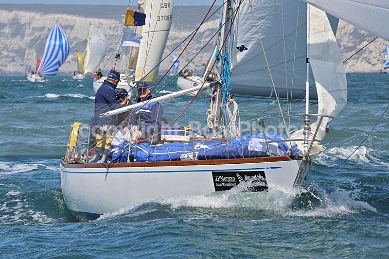 150627 VALHALLA OF ASHTON GBR2496 WT7A6367_Edit - 150627 VALHALLA OF ASHTON GBR2496