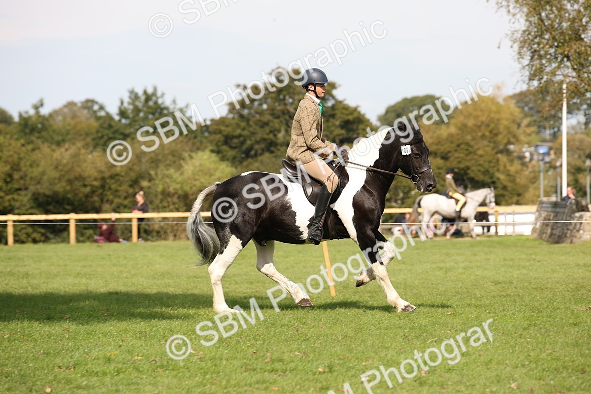 SBM_70076 - S65 - Piebald & Skewbald Horse Ridden
