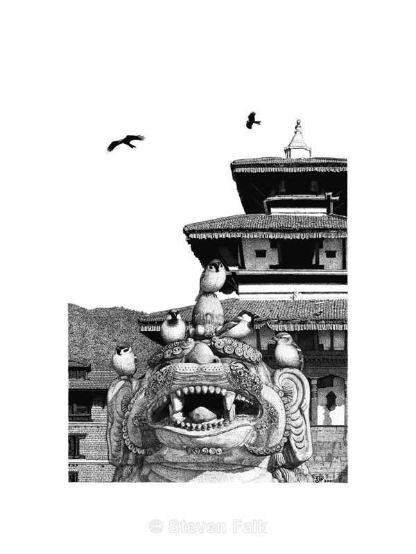 Kathmandu Sparrows - Birds and Mammals
