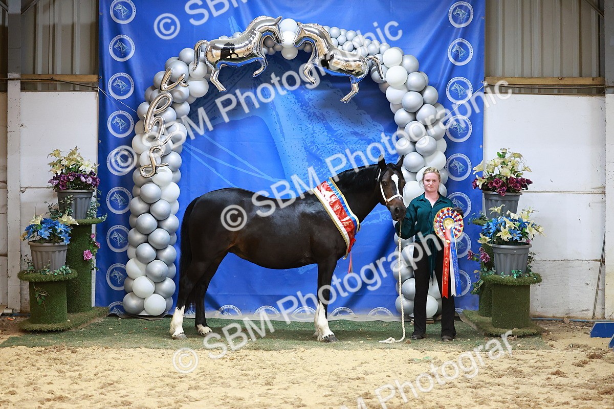 SBM_20940 - Grand Sup Finals - IH & Ridden Champs