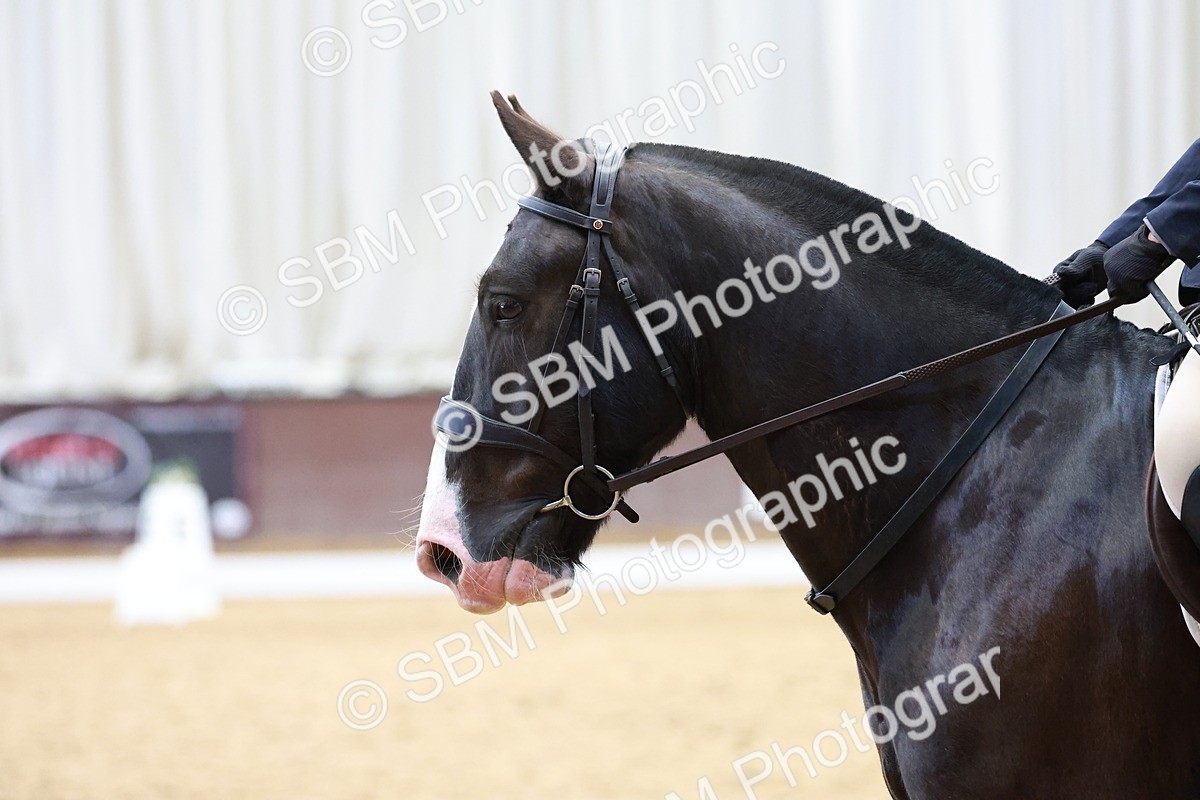 SBM_006885 - Class 3 - Prelim 2