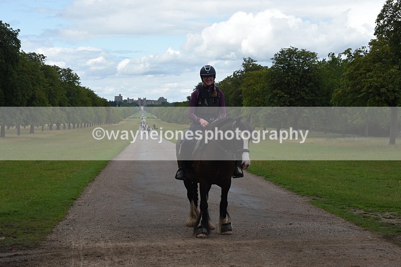 TT3_0447 - Time at Crossing 14:53 to 1526