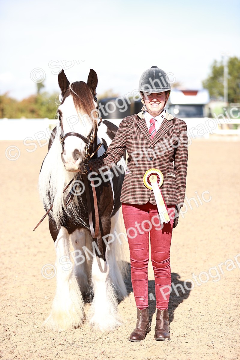 SBM_12619 - Class 404 - IH Traditional - Native Cob