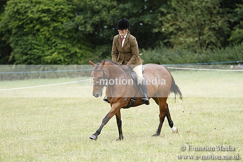 BVR160717-1680 - Ring 3 BVRC Show 16/07/17