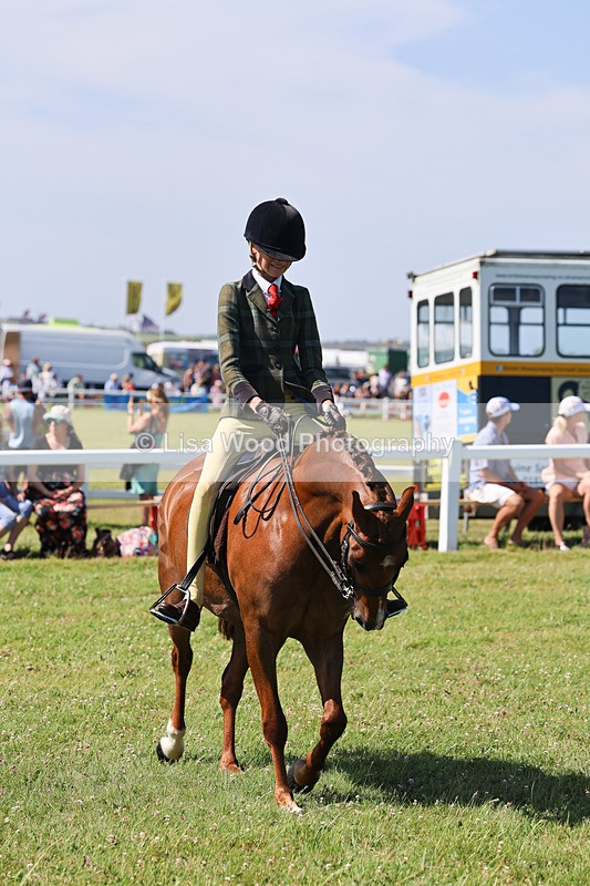 IMG_2016 - Class 34: Show Hunter Pony 153cm and under