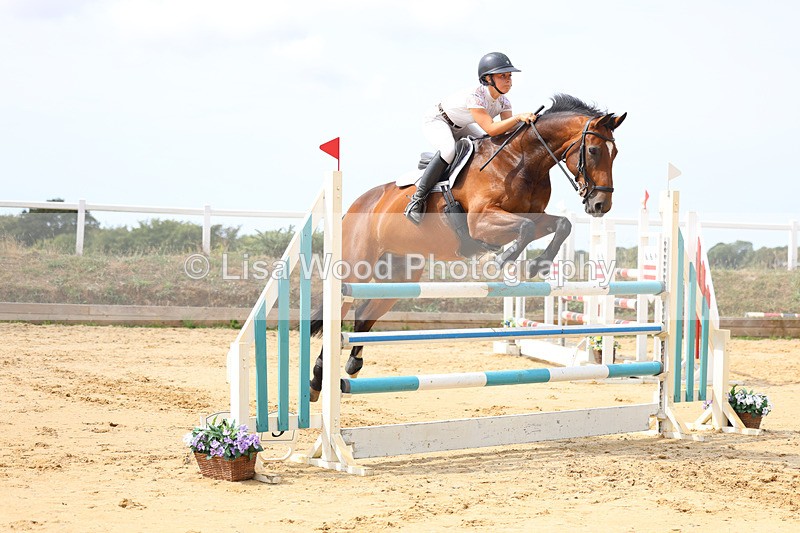 3E7A4319 - Class 8: Senior Foxhunter/1.20 open
