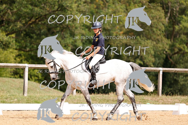 _R6A2762 - Dressage Morning