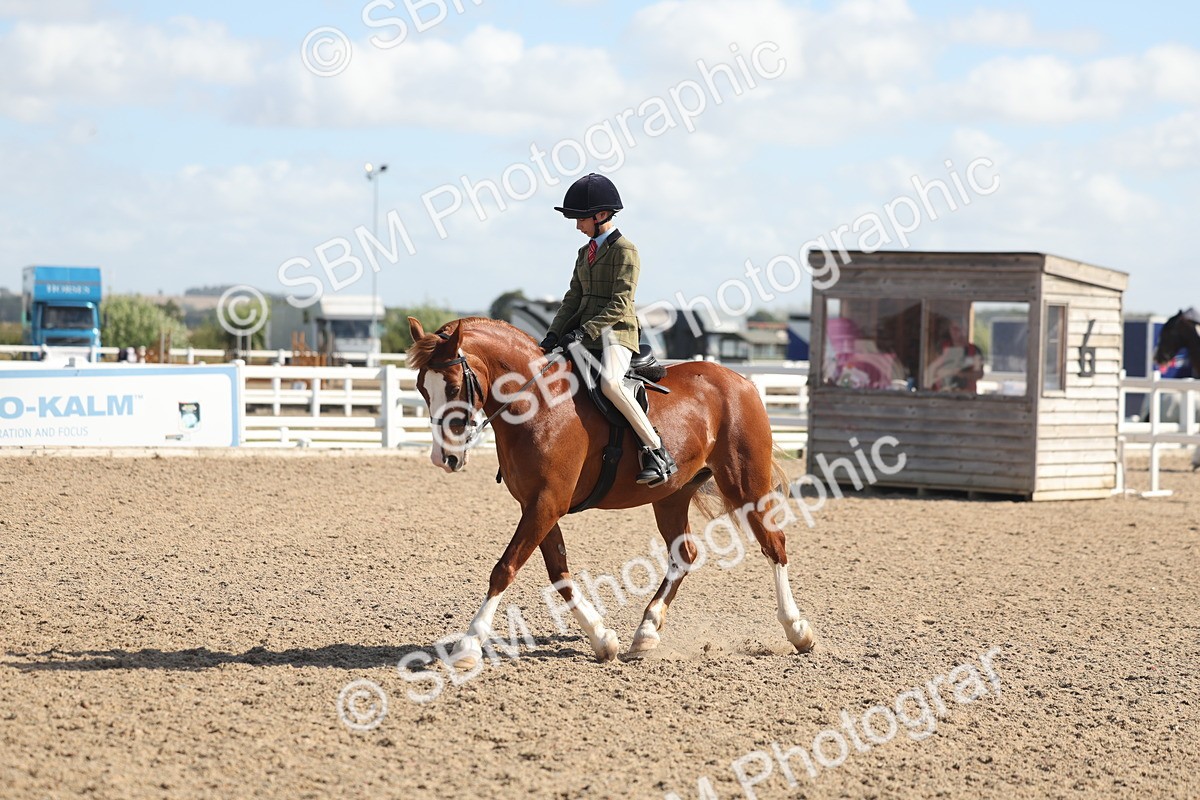 SBM_23071 - Class 806 - Young Rider 10ry and Under