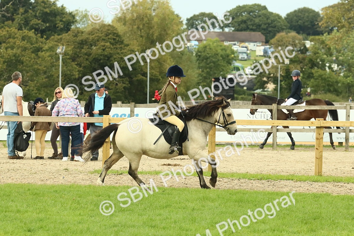 SBM_69948 - S59 - Mountain & Moorland Ridden Small Breeds