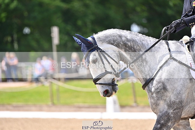 250523A-120520-06738 - C-278-Harriet.Wright-MBF.UP.NORTH