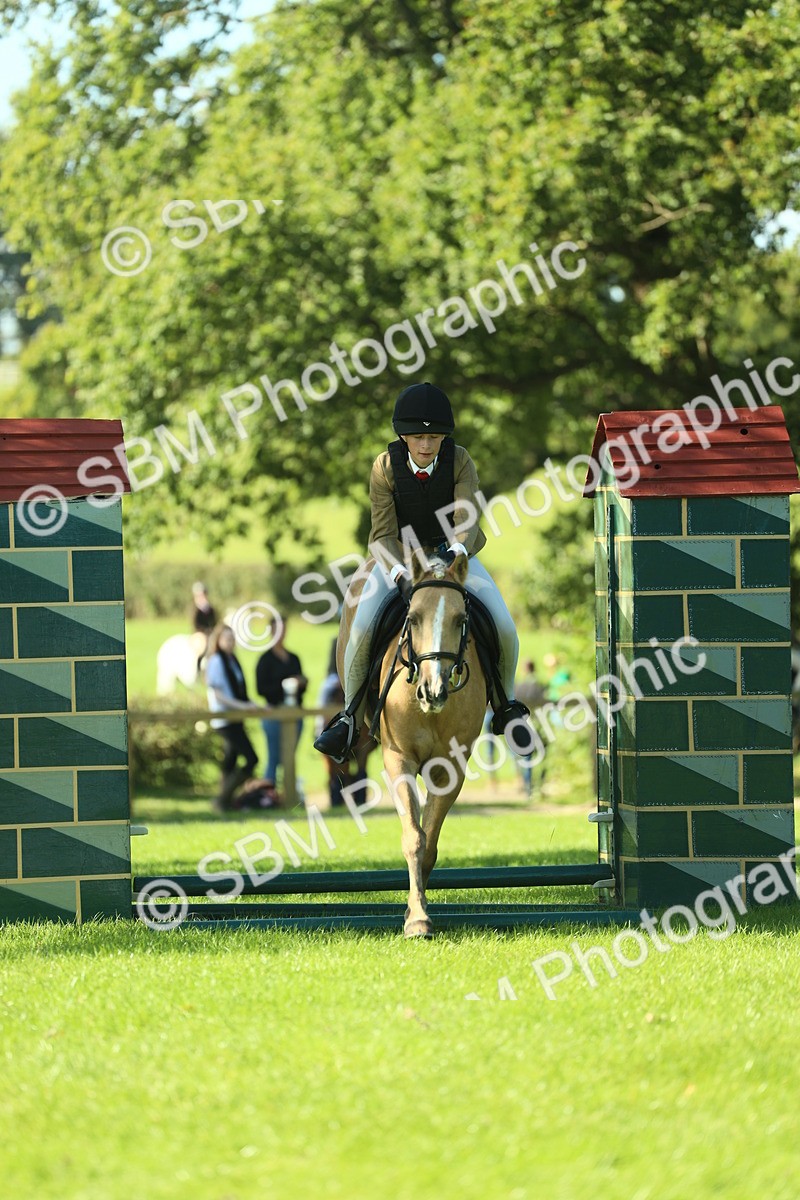 SBM_37488 - S29 - Novice & Newcomers Working Hunter Pony