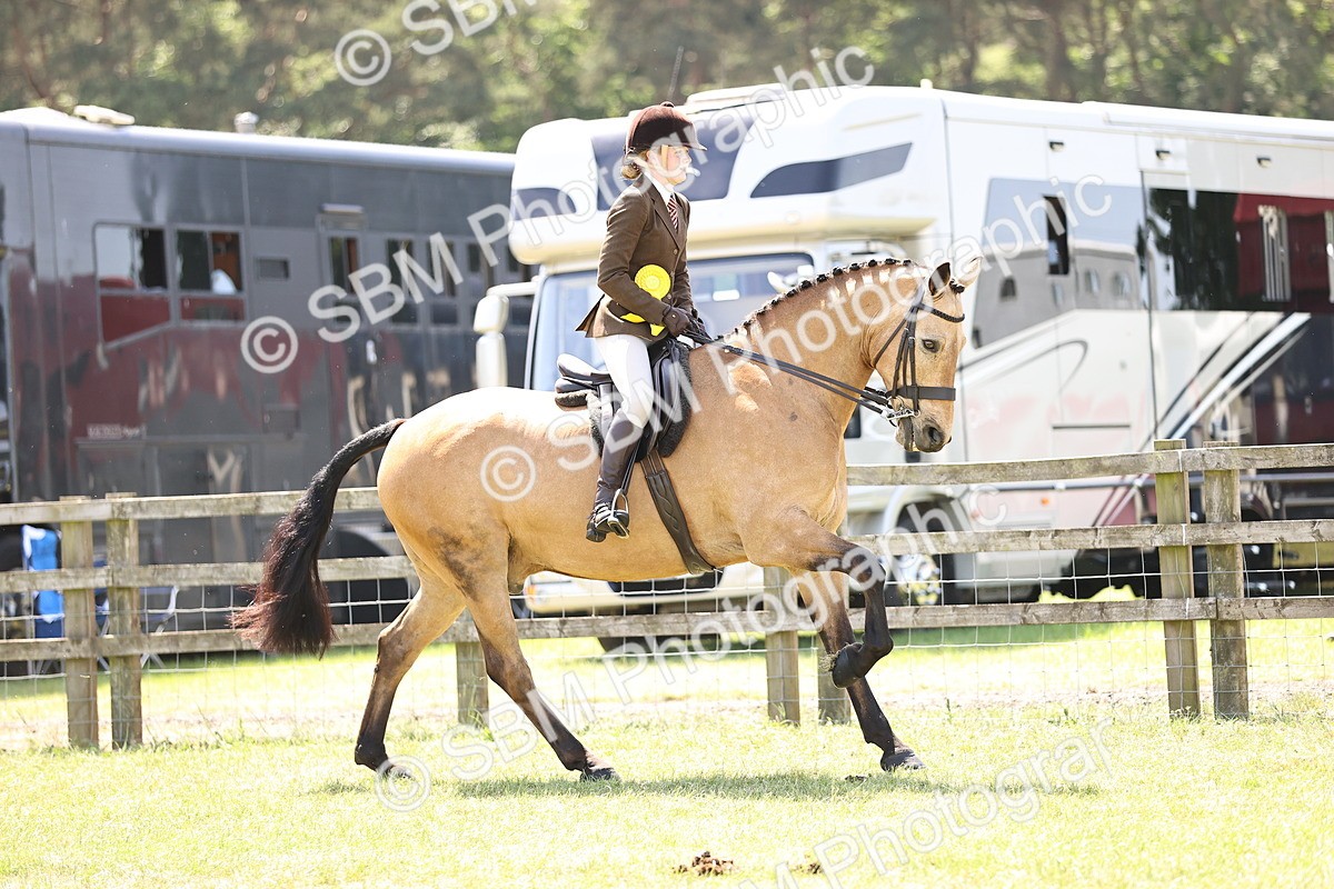 SBM_15253 - Class 79-80 - LIHS BSHA Rising Star Ridden Hunter