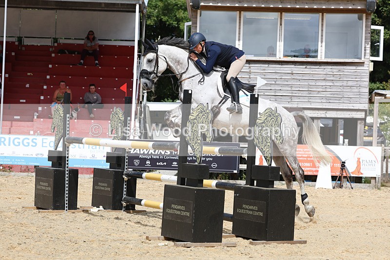 3E7A1870 - Class 9: Senior Foxhunter/1.20 open