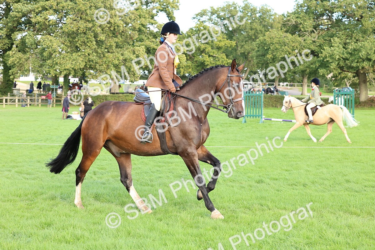 SBM_50224 - S34 - Novice & Newcomers Working Hunter