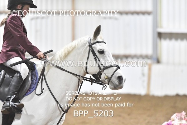 BPP_5203 - CLASS 10 Stepping Stones 128/ 138cms Handicap