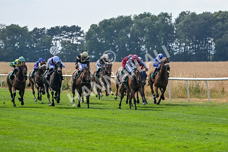 160726-Race 4-Park Lane Penny-4643 - Race 4 15.38pm Don't Miss Summer Family Days @thirskraces Classified Stakes
