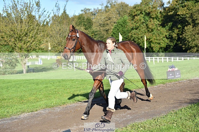 231022-102026-22424 - 433-WILLIAM-Laura.Sharpe-TrotUp+SJ