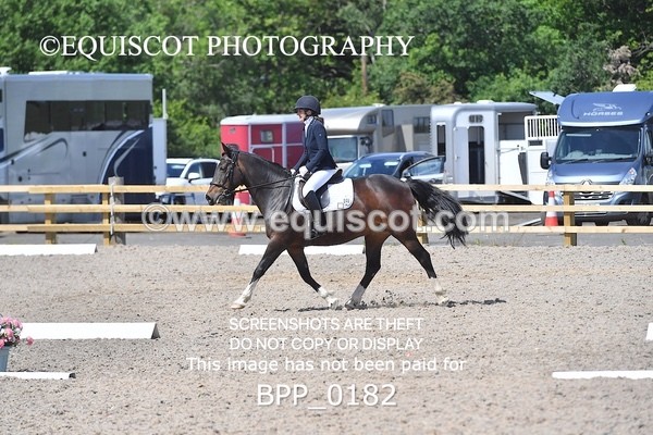 BPP_0182 - SHORT ARENA  MY QUEST PRELIM