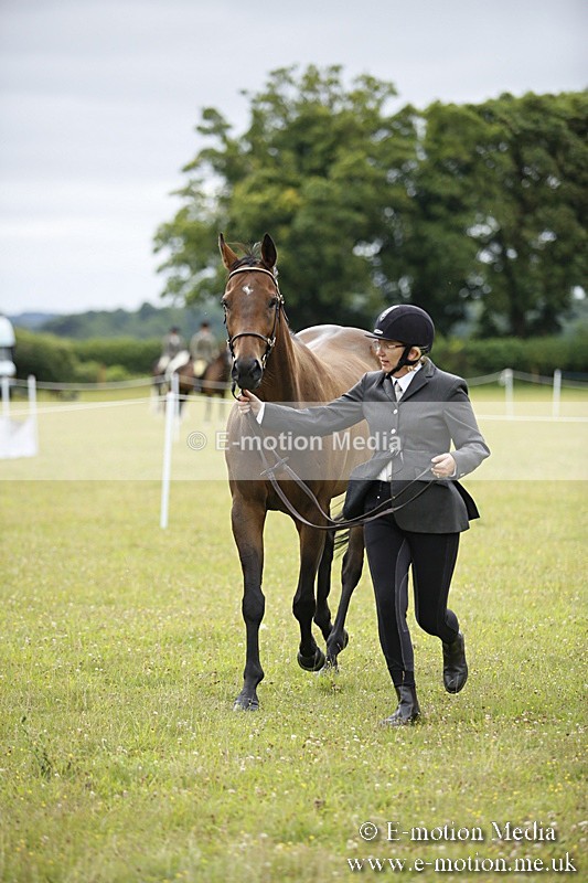 BVR160717-53 - Ring 1 BVRC Show 16/07/17