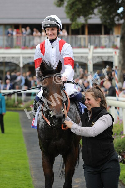 yr17082022r3-59 - Race 3 3.00pm Sky Bet Great Voltigeur Stakes