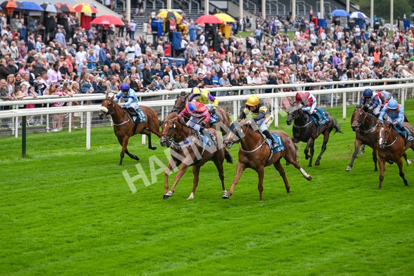 080925-Race 2-Alzahir-7411 - Race 2 3.00pm Sky Bet Super Sub Sprint Handicap