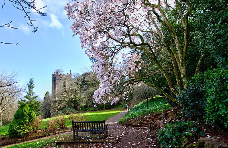 Springtime Cockington 4 - Cockington