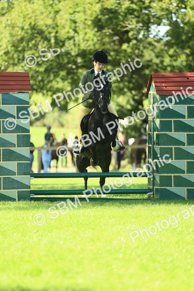 SBM_37404 - S29 - Novice & Newcomers Working Hunter Pony