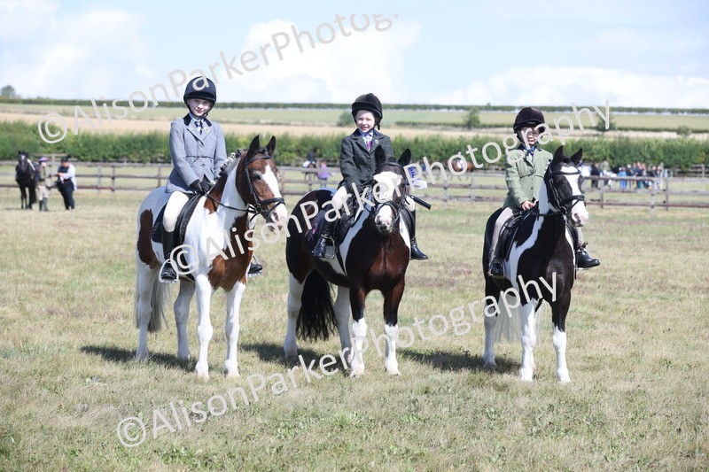 20250831-2591 - Class 16 - Family Pony