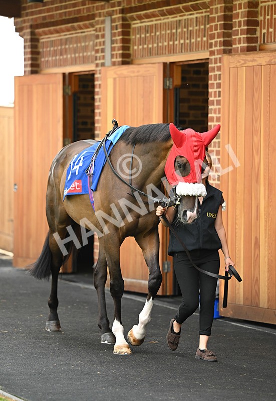 220826-189 Burdett Road - Race 4 15.35pm Sky Bet Ebor Handicap