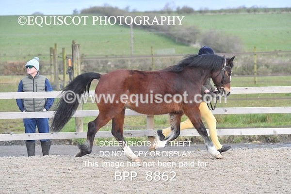 BPP_8862 - RING 2 - M&M