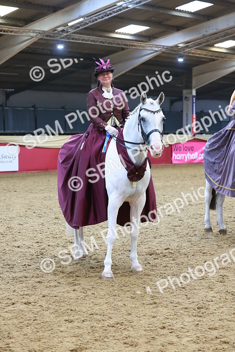 SBM_14845 - Class 108 - Ridden Costume - Astride Adult (20+)