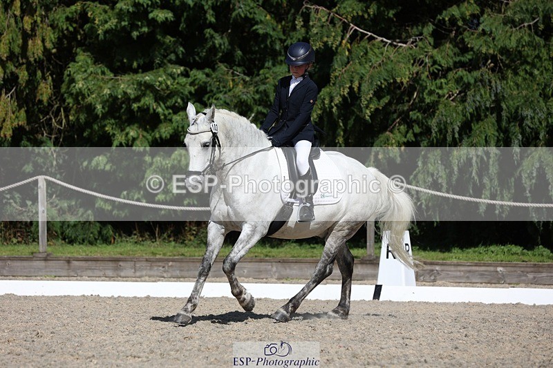 230811-155758-02561 - Cls 1 Prelim Bronze 15.00 to End