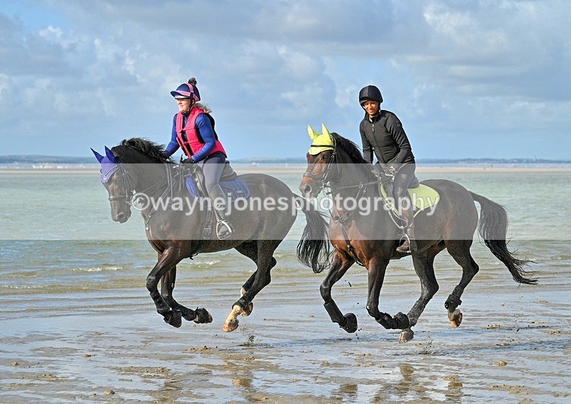 WJ7_4429_1 - Kellie & Churchill ... do Hayling Island 25-08-24