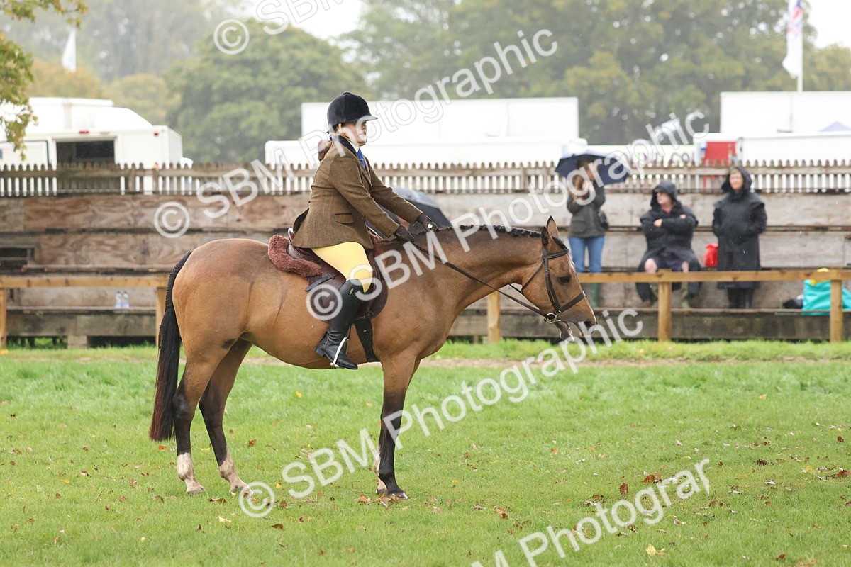 SBM_73042 - S63 Show Pony & Show Hunter Pony Ridden