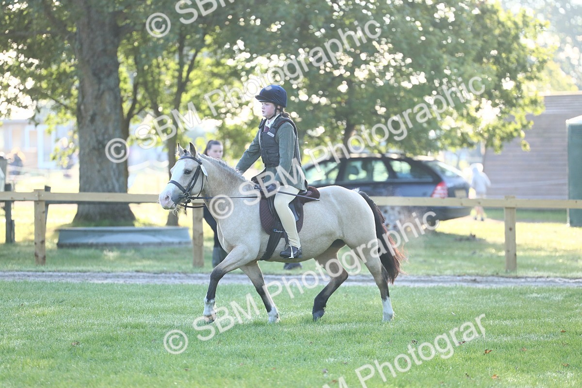 SBM_31836 - S28 - Nursery Stakes Working Hunter Pony