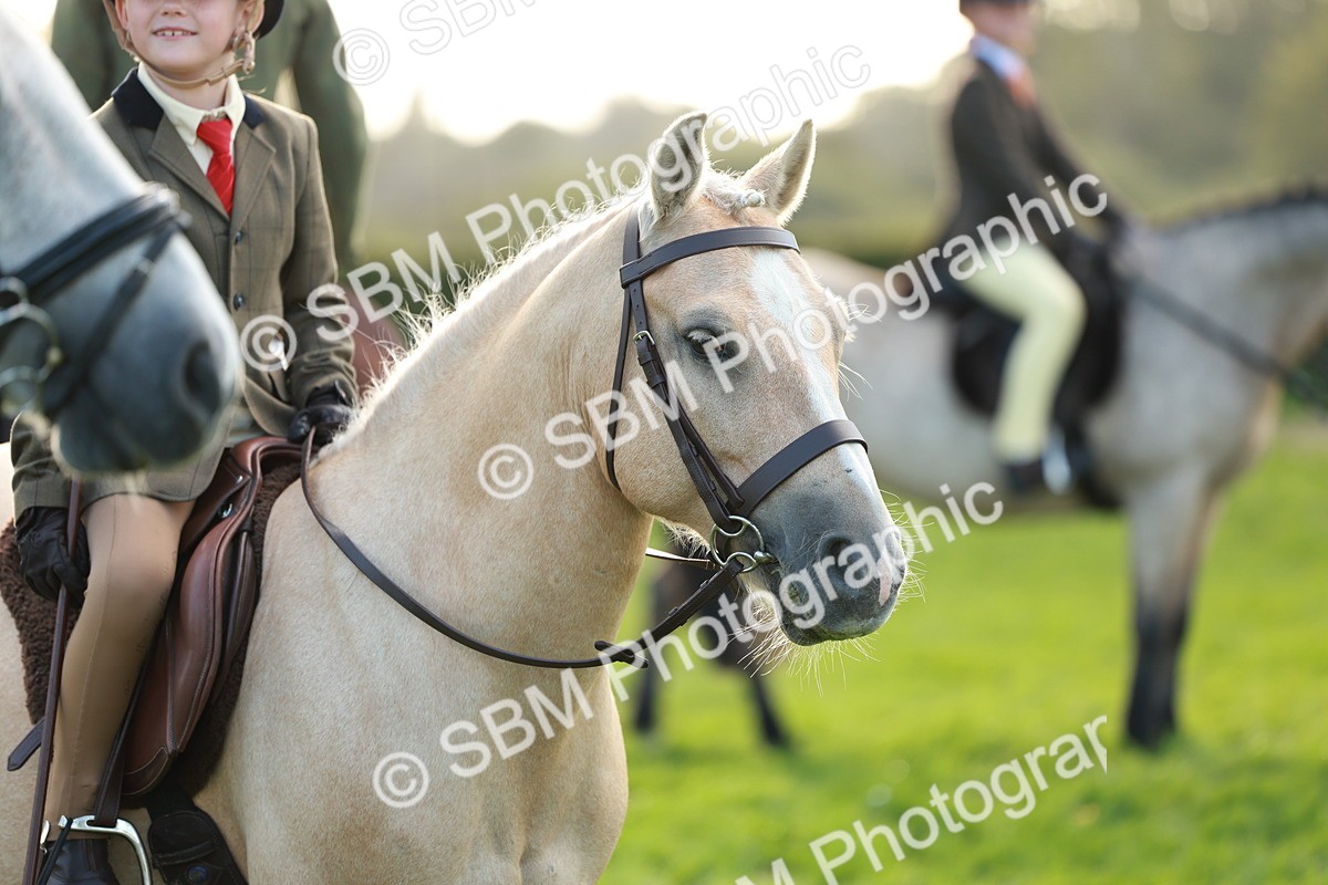 SBM_28815 - S7 - Novice & Newcomer Ridden Pony